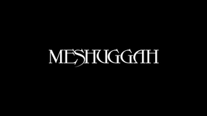 Meshuggah x PUCK HCKY hockey streetwear collection