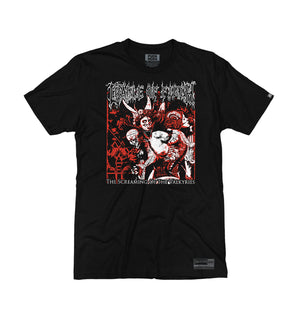 CRADLE OF FILTH 'VALKYRIES' short sleeve hockey t-shirt in black front view