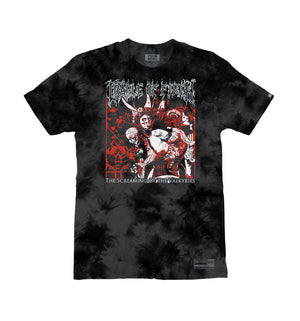 CRADLE OF FILTH 'VALKYRIES' short sleeve hockey t-shirt in black tie-dye front view