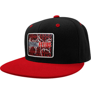 DYING FETUS 'DOUBLE LOGO' flat bill snapback hockey cap in black with red bill